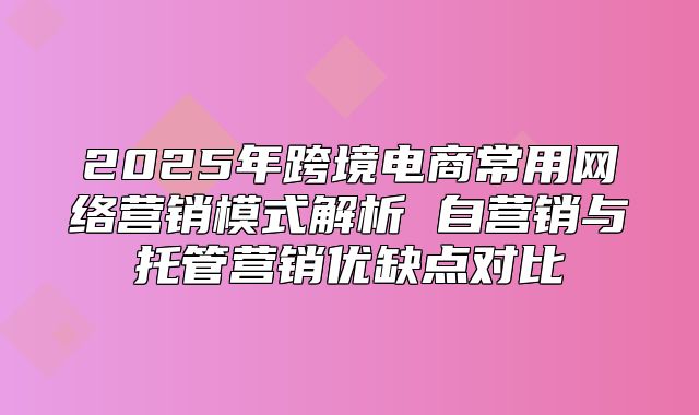 2025年跨境电商常用网络营销模式解析 自营销与托管营销优缺点对比
