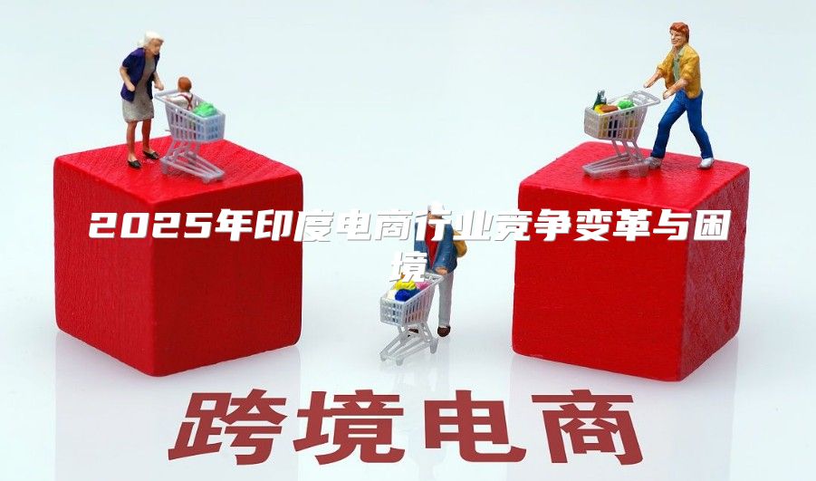 2025年印度电商行业竞争变革与困境