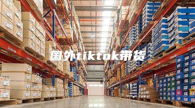 国外tiktok带货