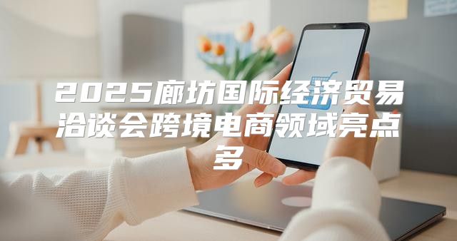 2025廊坊国际经济贸易洽谈会跨境电商领域亮点多