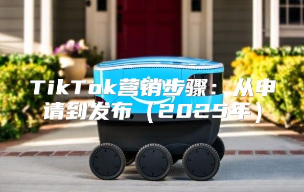 TikTok营销步骤：从申请到发布2025年
