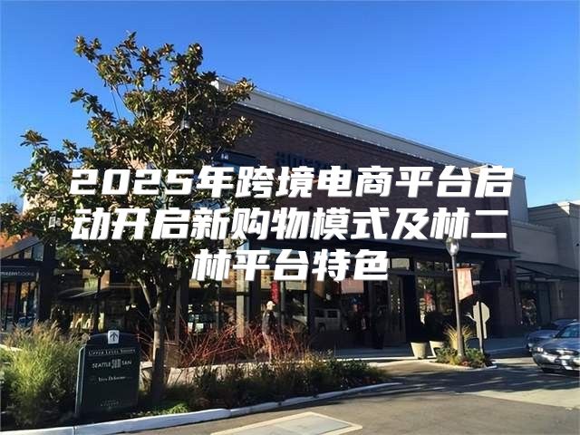 2025年跨境电商平台启动开启新购物模式及林二林平台特色