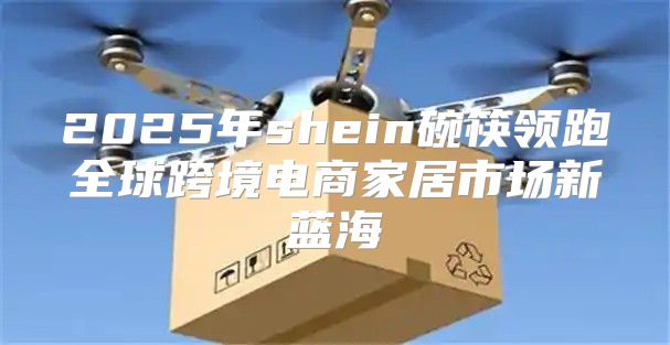 2025年shein碗筷领跑全球跨境电商家居市场新蓝海