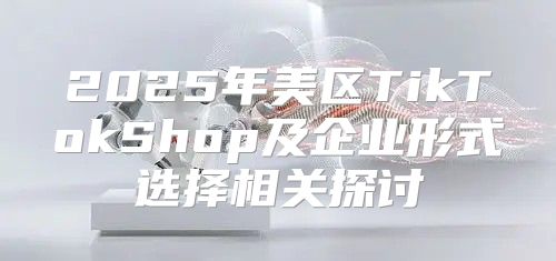 2025年美区TikTokShop及企业形式选择相关探讨