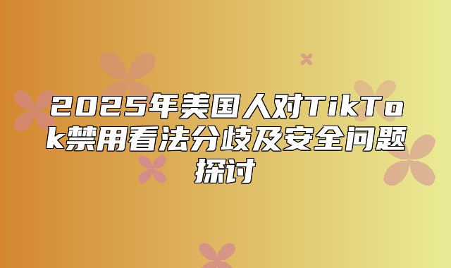 2025年美国人对TikTok禁用看法分歧及安全问题探讨