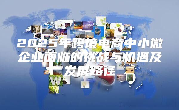2025年跨境电商中小微企业面临的挑战与机遇及发展路径