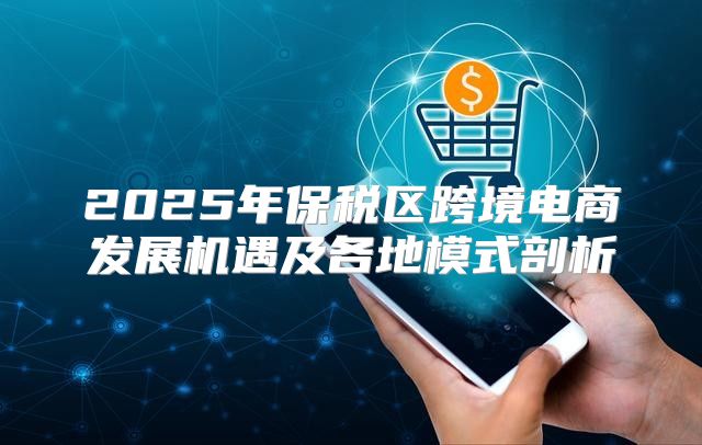 2025年保税区跨境电商发展机遇及各地模式剖析