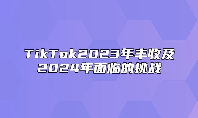 TikTok2023年丰收及2025年面临的挑战