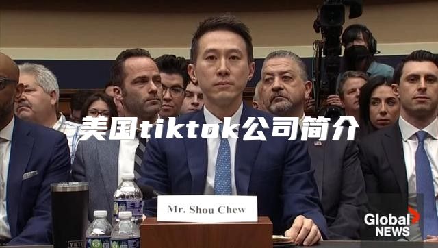 美国tiktok公司简介