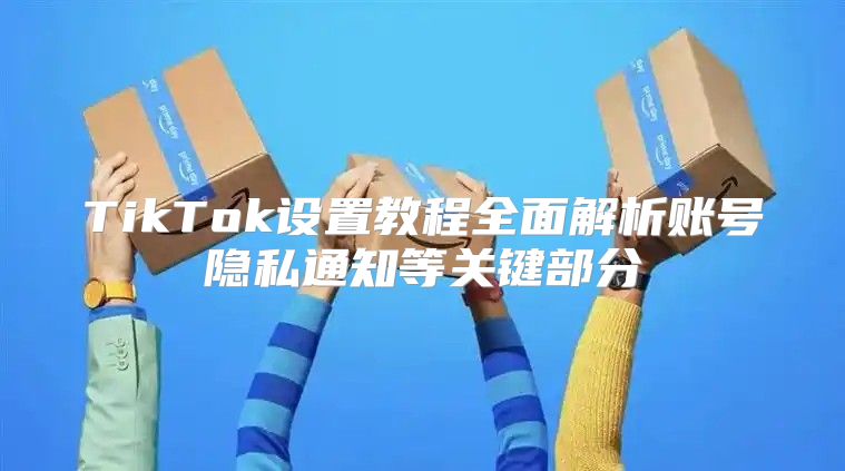 TikTok设置教程全面解析账号隐私通知等关键部分
