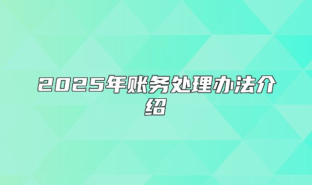 2025年账务处理办法介绍