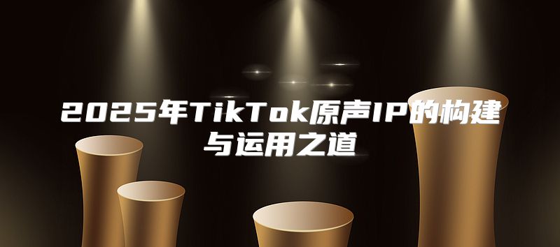 2025年TikTok原声IP的构建与运用之道