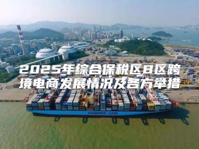2025年综合保税区B区跨境电商发展情况及各方举措