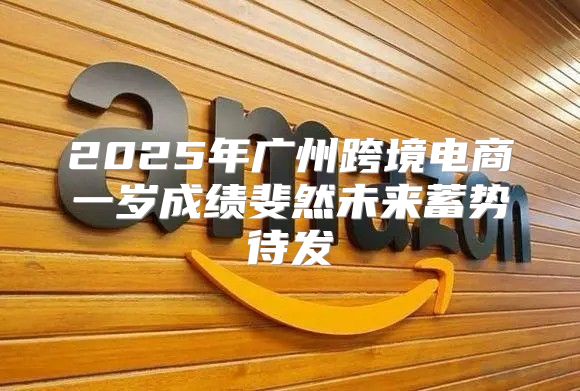 2025年广州跨境电商一岁成绩斐然未来蓄势待发