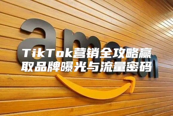 TikTok营销全攻略赢取品牌曝光与流量密码