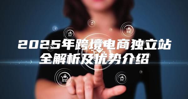 2025年跨境电商独立站全解析及优势介绍