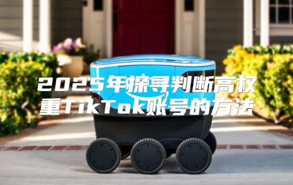 2025年探寻判断高权重TikTok账号的方法