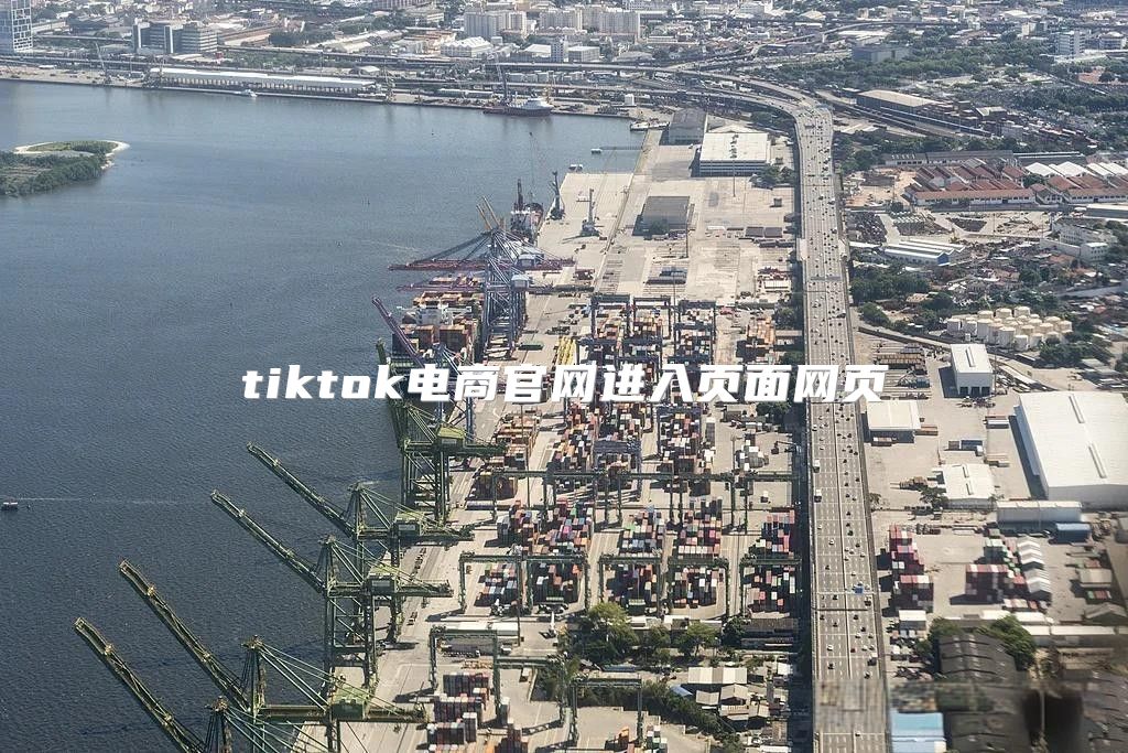 tiktok电商官网进入页面网页