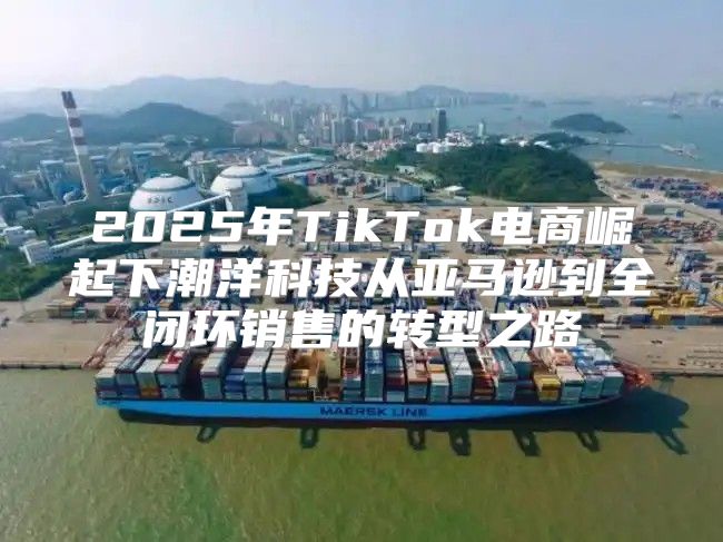 2025年TikTok电商崛起下潮洋科技从亚马逊到全闭环销售的转型之路