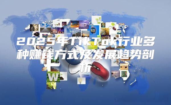 2025年TikTok行业多种赚钱方式及发展趋势剖析