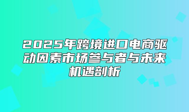 2025年跨境进口电商驱动因素市场参与者与未来机遇剖析