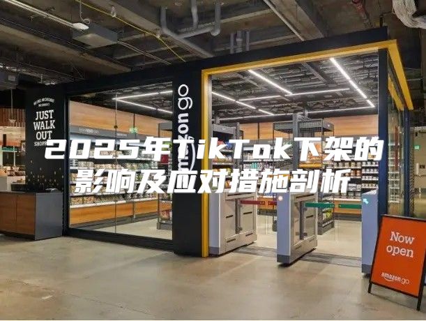 2025年TikTok下架的影响及应对措施剖析