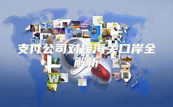 支付公司对接海关口岸全解析