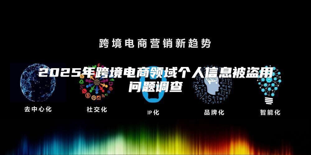 2025年跨境电商领域个人信息被盗用问题调查