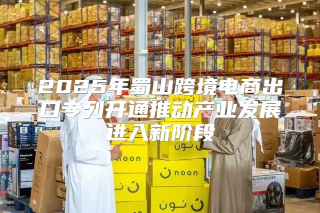 2025年蜀山跨境电商出口专列开通推动产业发展进入新阶段