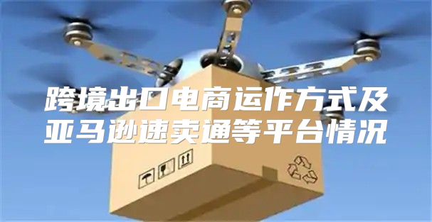 跨境出口电商运作方式及亚马逊速卖通等平台情况