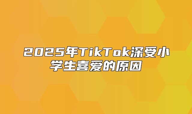 2025年TikTok深受小学生喜爱的原因