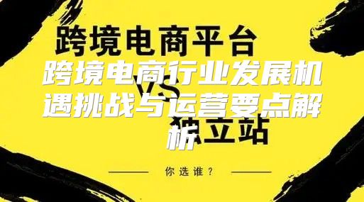 跨境电商行业发展机遇挑战与运营要点解析
