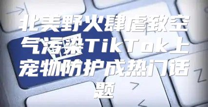 北美野火肆虐致空气污染TikTok上宠物防护成热门话题