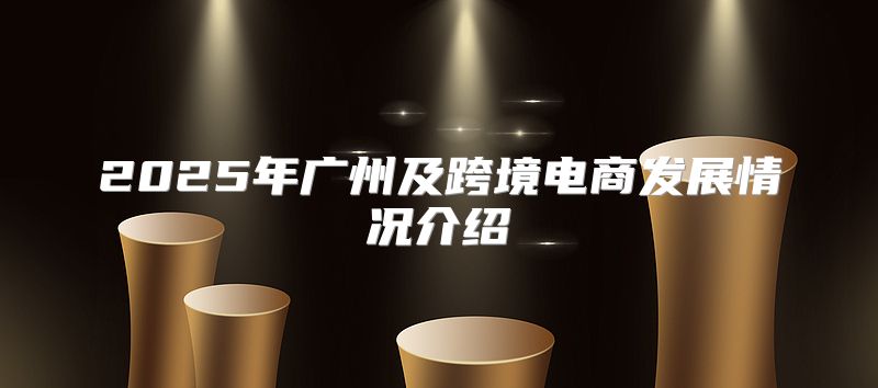 2025年广州及跨境电商发展情况介绍