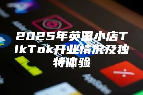 2025年英国小店TikTok开业情况及独特体验
