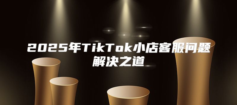 2025年TikTok小店客服问题解决之道
