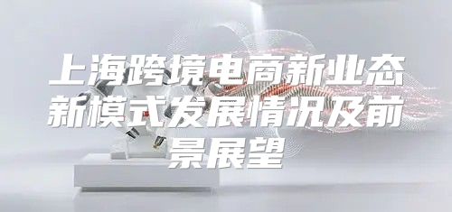 上海跨境电商新业态新模式发展情况及前景展望