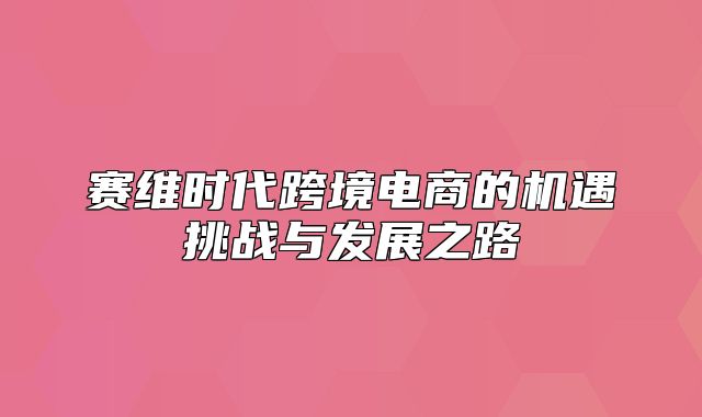 赛维时代跨境电商的机遇挑战与发展之路