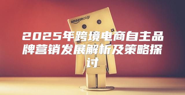 2025年跨境电商自主品牌营销发展解析及策略探讨
