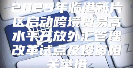 2025年临港新片区启动跨境贸易高水平开放外汇管理改革试点及投资相关举措