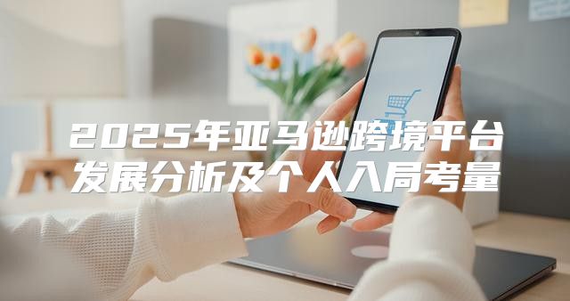 2025年亚马逊跨境平台发展分析及个人入局考量