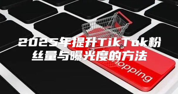 2025年提升TikTok粉丝量与曝光度的方法