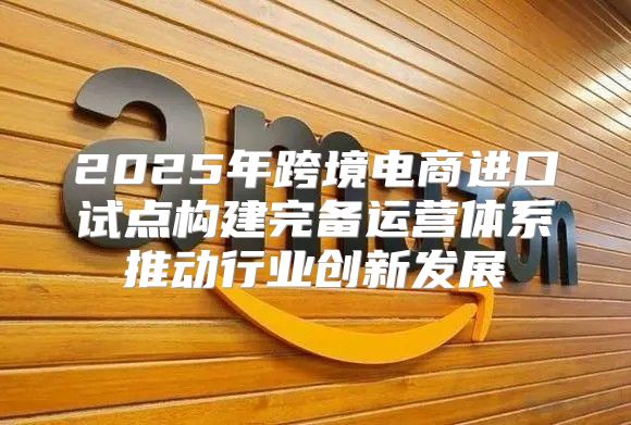2025年跨境电商进口试点构建完备运营体系推动行业创新发展