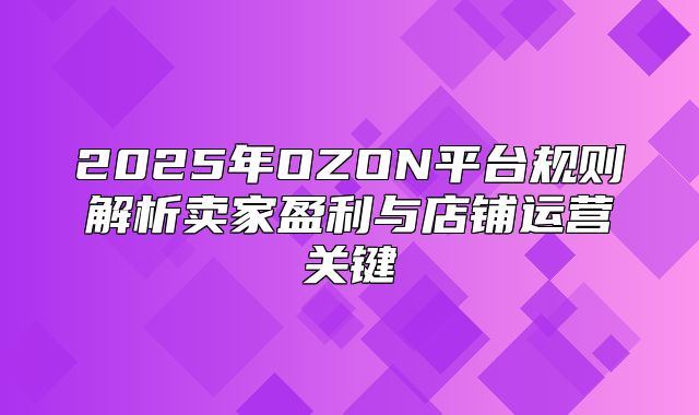 2025年OZON平台规则解析卖家盈利与店铺运营关键