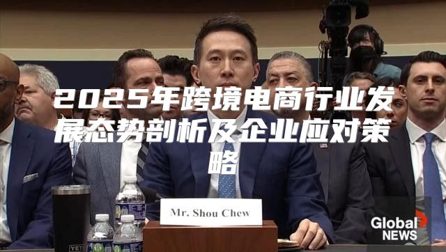 2025年跨境电商行业发展态势剖析及企业应对策略
