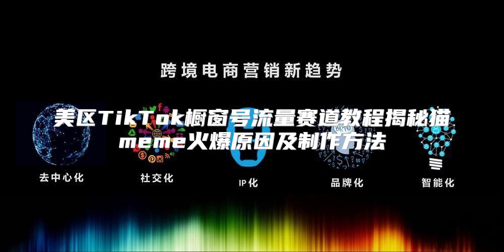 美区TikTok橱窗号流量赛道教程揭秘猫meme火爆原因及制作方法