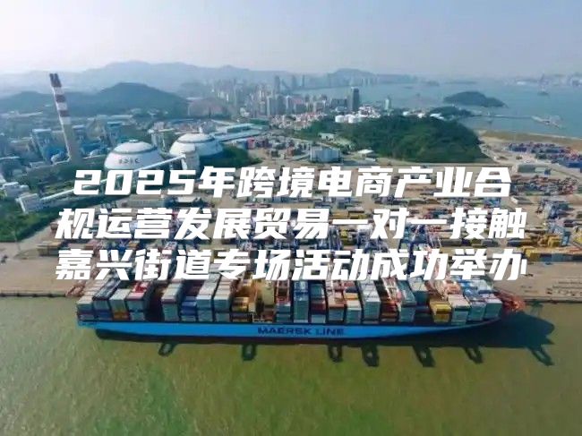 2025年跨境电商产业合规运营发展贸易一对一接触嘉兴街道专场活动成功举办