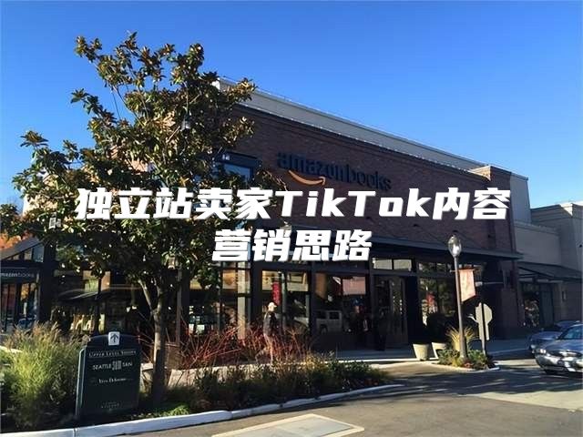 独立站卖家TikTok内容营销思路