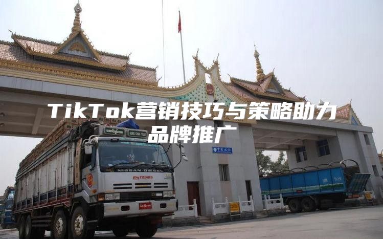 TikTok营销技巧与策略助力品牌推广