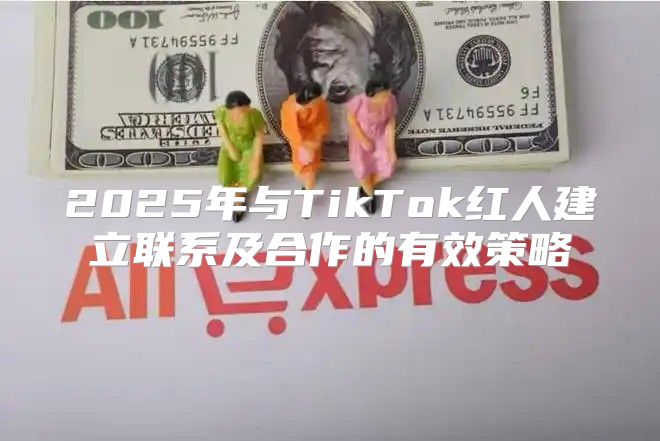 2025年与TikTok红人建立联系及合作的有效策略